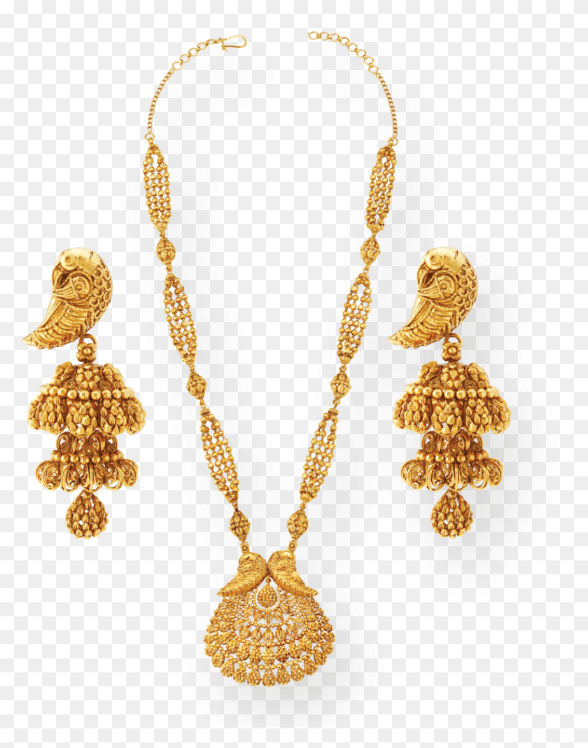 820x1060 Neck Piece Bridal Jewellery Indian Necklace, Treasure, Gold, Accessories HD PNG Download