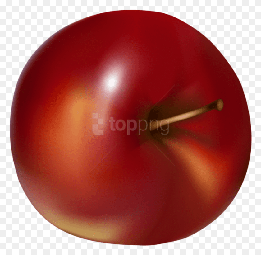 843x821 Nectarine, Plant, Balloon, Ball HD PNG Download