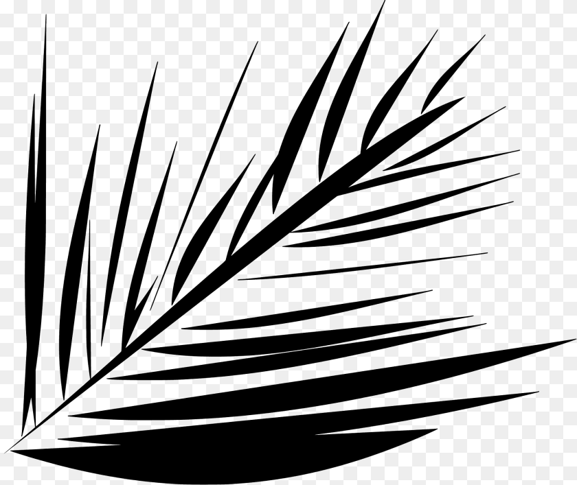 Needle Leaves Silhouette, Leaf, Plant, Art, Graphics Clipart PNG