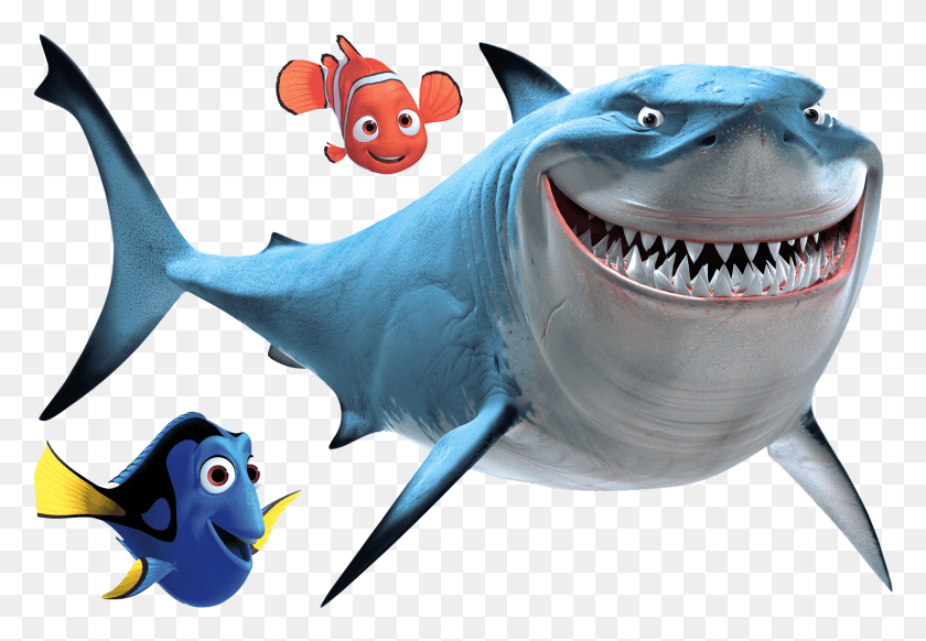 1490x998 Descargar Png / Pez Nemo Bruce El Tiburón Buscando A Nemo, La Vida Marina, Animal, Pájaro Hd Png