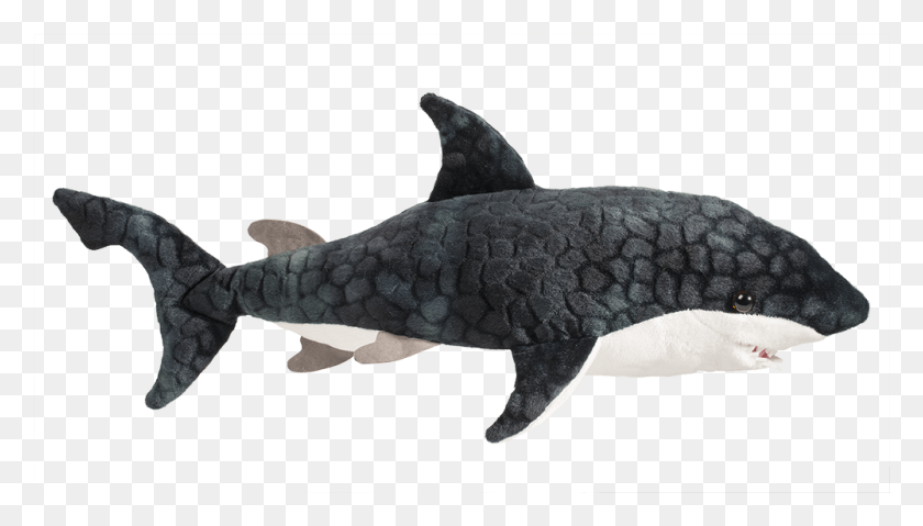 1001x538 Нептун Синяя Акула Голубая Акула, Морская Жизнь, Животное, Млекопитающее Hd Png Скачать
