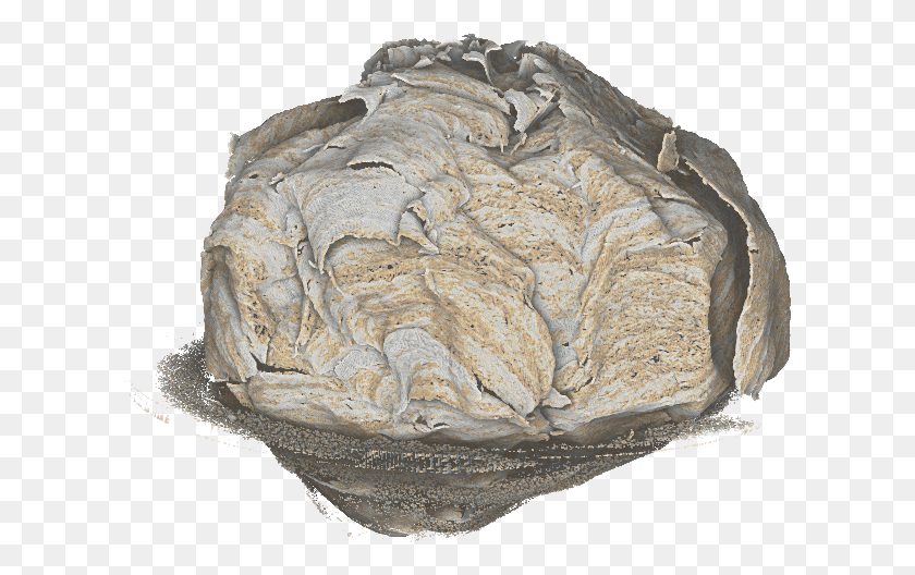 612x468 Nest 02 Igneous Rock, Ornament, Fossil, Soil HD PNG Download