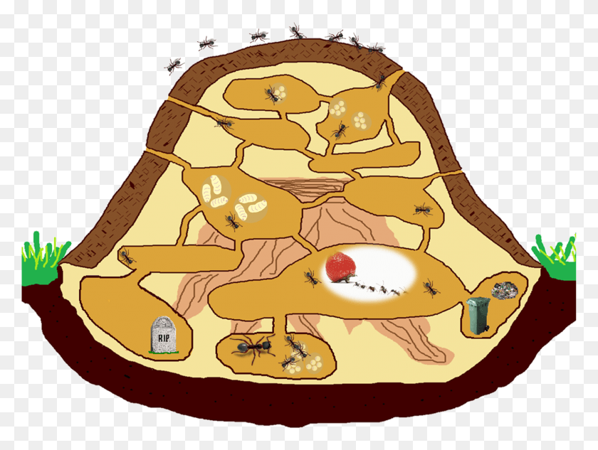 1503x1105 Nest Clipart Nesting Ant Nest, Food, Pizza, Plant HD PNG Download