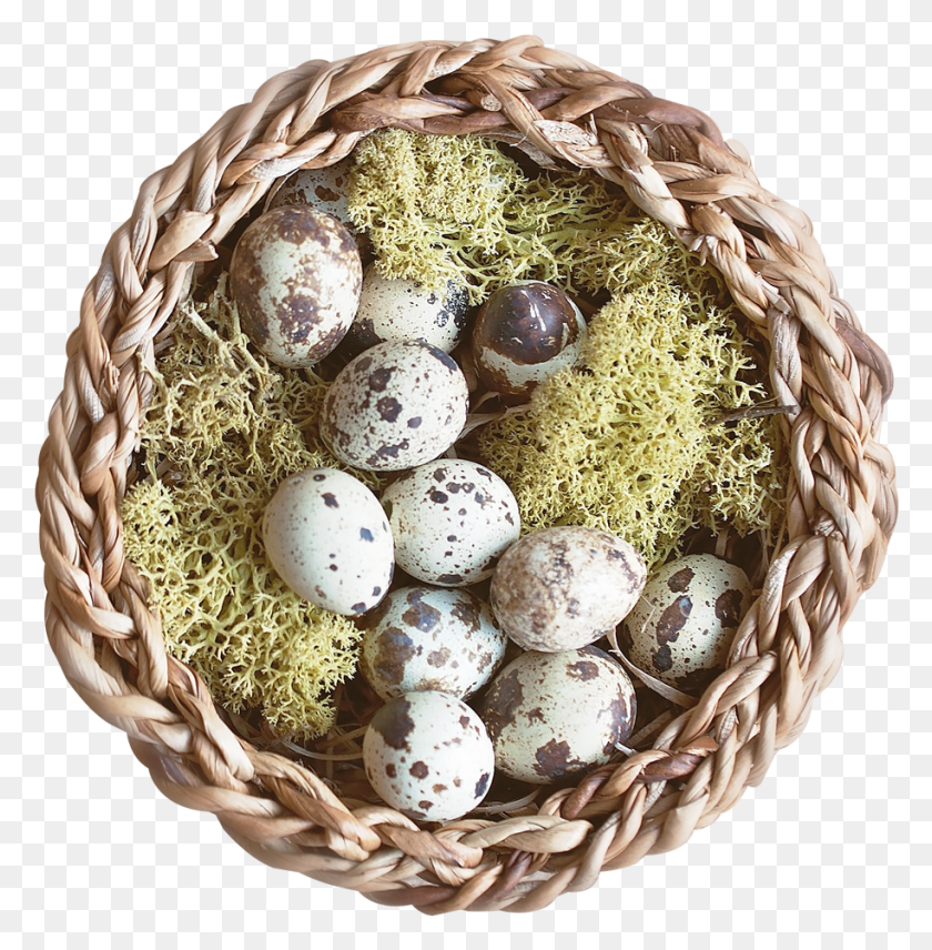 914x933 Nest Transparent Image Egg, Food, Plant, Spice HD PNG Download