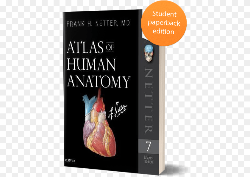 423x593 Netter Student Atlas Of Human Anatomy Netter, Book, Novel, Publication, Blackboard Clipart PNG