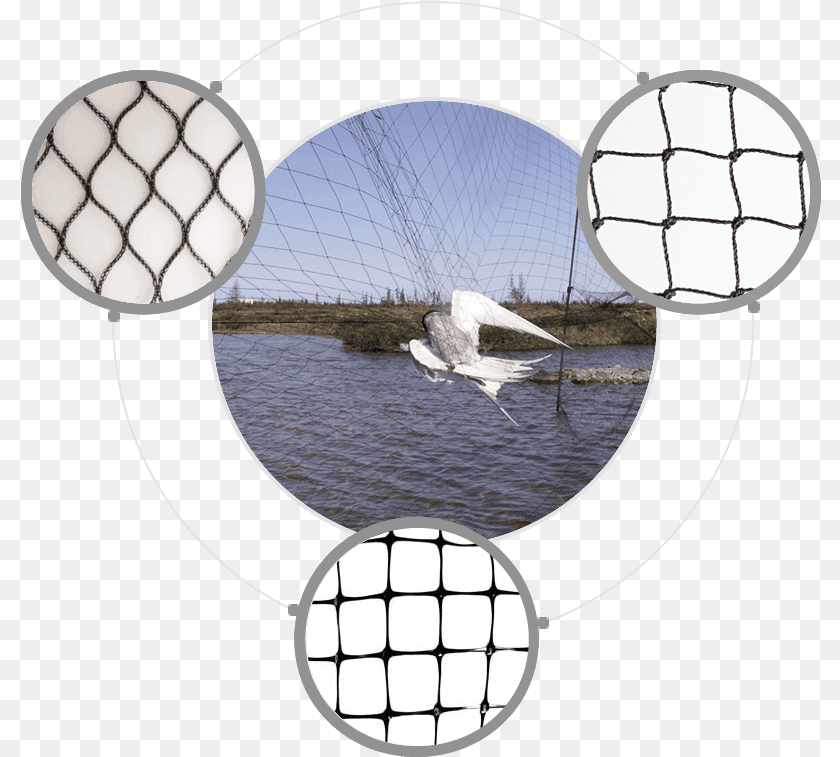 801x757 Netting Lake Bird Netting Fishing Net Mesh, Sailboat, Vehicle, Boat, Transportation Transparent PNG