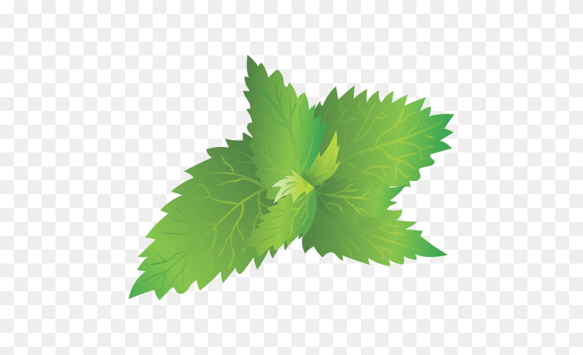 512x512 Nettle, Herbs, Leaf, Mint, Plant Sticker PNG