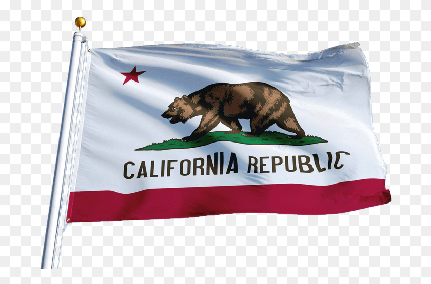 689x494 La Bandera De La República De Nueva California, La Bandera Del Estado De California, Símbolo, Perro, Mascota Hd Png