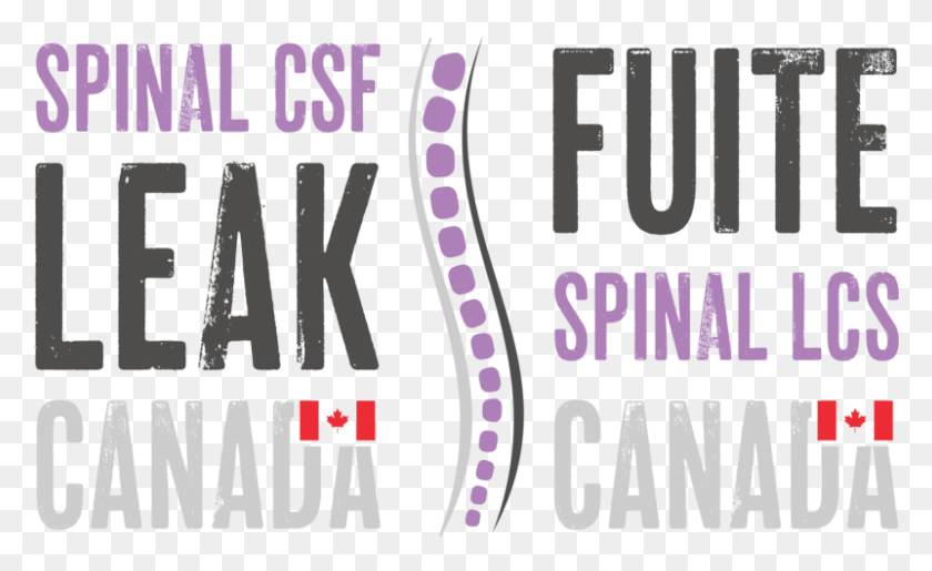 801x468 New Canadian Spinal Csf Leak Organization Book Cover, Label, Text, Word HD PNG Download