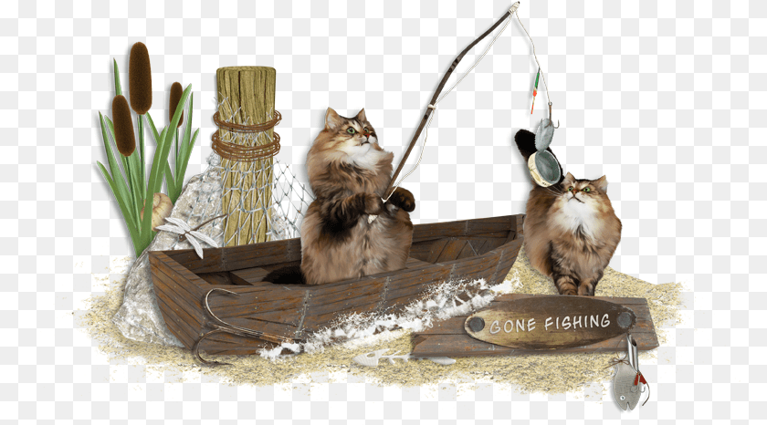 782x466 New Kit Quotgone Fishingquot And Freebie Portable Network Graphics, Plant, Potted Plant, Animal, Cat PNG