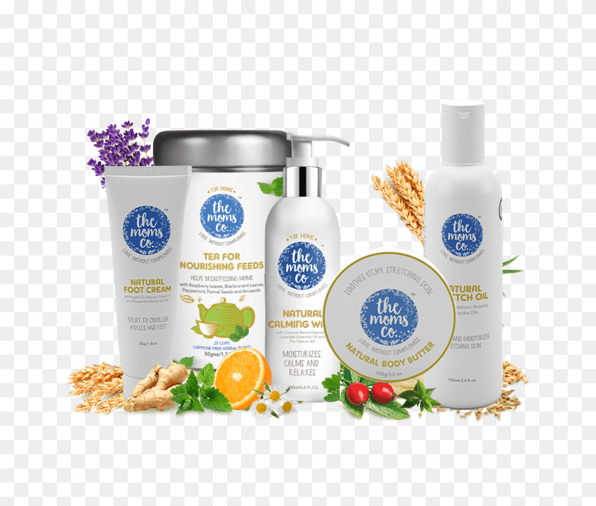 658x653 New Mom Gift Set Bottle, Lotion, Plant, Shampoo HD PNG Download
