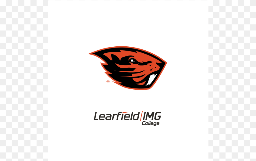 529x528 New Oregon State Beaver Logo Transparent PNG