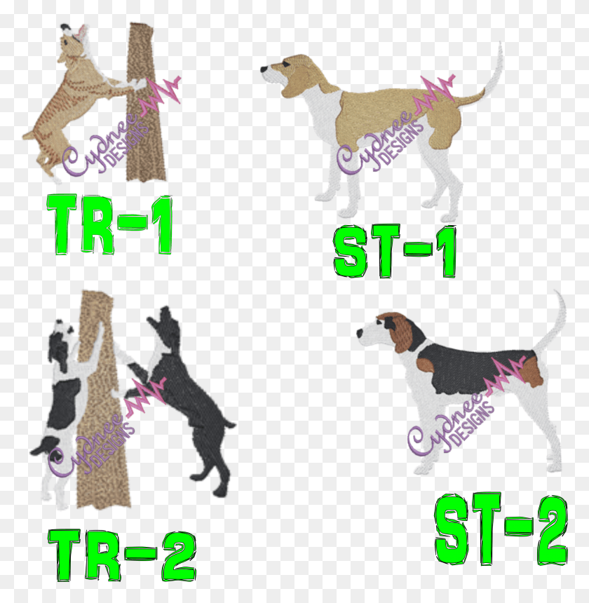 2716x2787 New Stacked Hounds Treeing Walker Coonhound Embroidery Design, Pet, Animal, Hound HD PNG Download