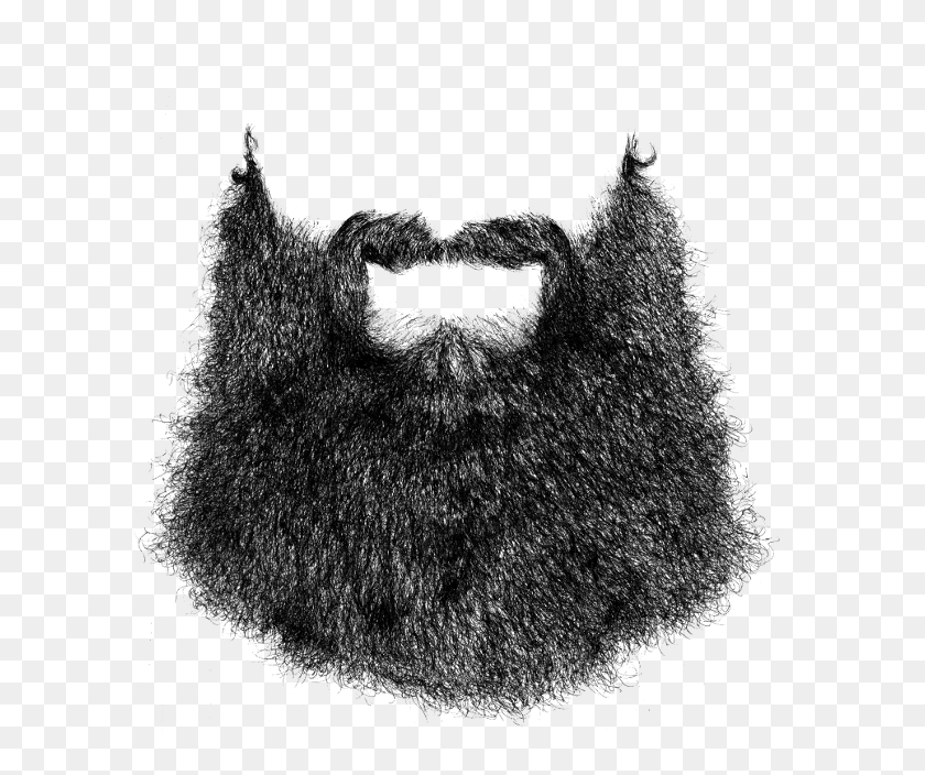 600x644 Новая Стильная Борода Большая Борода Для Фотошопа, Медведь, Дикая Природа, Млекопитающее Png Скачать