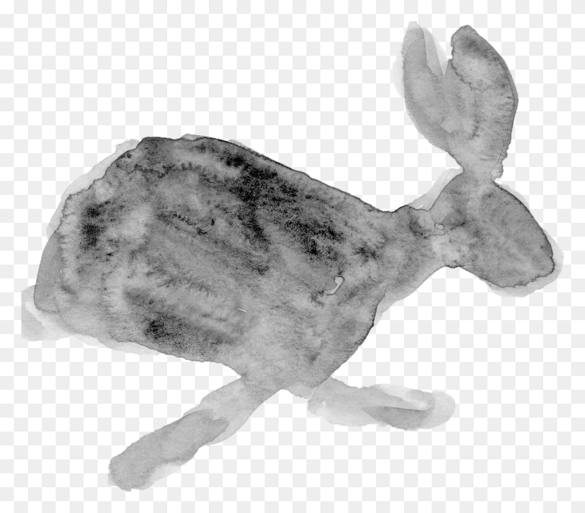 1515x1316 Новый Болотный Кролик, Гриб, Млекопитающее, Животное Hd Png Скачать