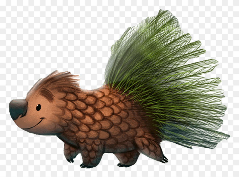 781x562 New World Porcupine, Bird, Animal, Ornament HD PNG Download