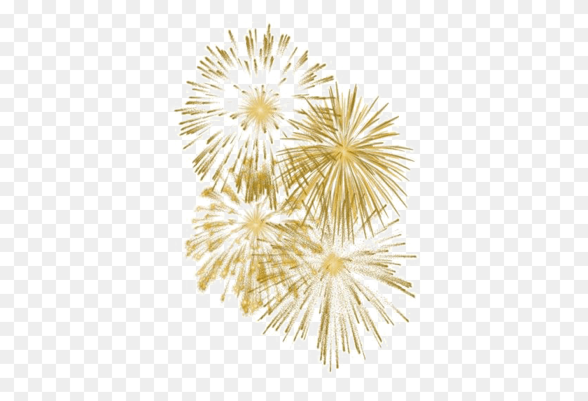 365x513 New Year Fireworks Transparent Image Fireworks, Plant, Flower, Blossom HD PNG Download