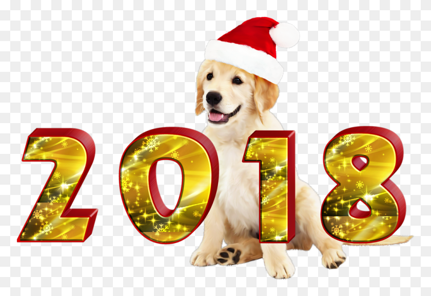 1015x673 New Year39S Evethe Backgroundpng Cute Merry Christmas Dogs, Dog, Pet, Canine Descargar Hd Png