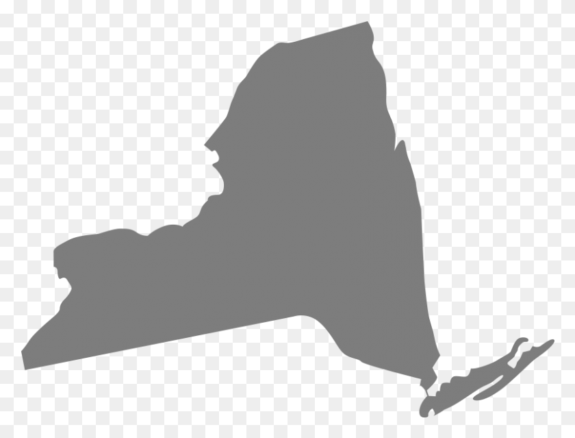 806x599 New York State Of New York Svg, Person, Human HD PNG Download