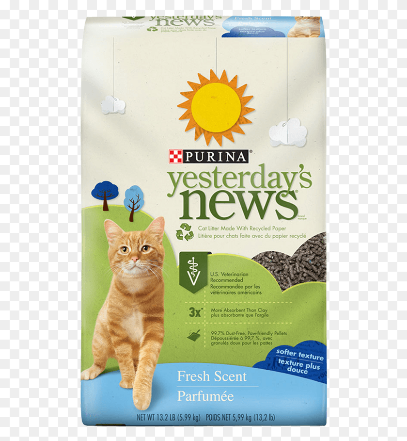 511x849 News Fresh Scent Cat Litter Yesterdays News Cat Litter, Advertisement, Poster, Flyer HD PNG Download