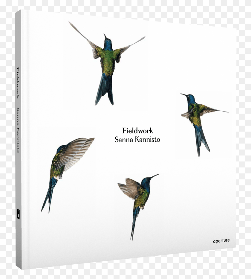744x873 Next Prev Hummingbird, Bee Eater, Bird, Animal HD PNG Download