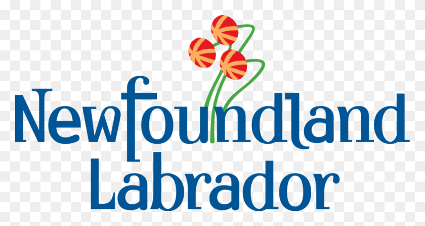 1000x498 Descargar Png Nfld Government Logo Terranova Y Labrador Logotipo, Texto, Alfabeto, Gráficos Hd Png