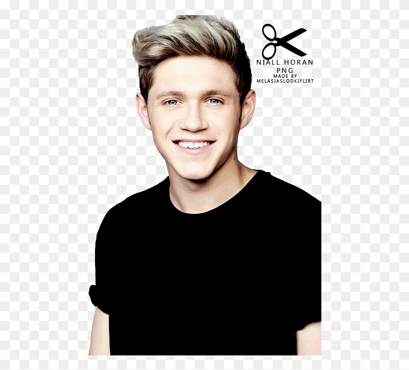 481x701 Niall Horan 2016 One Direction Niall Horan Poster, Face, Person, Human HD PNG Download