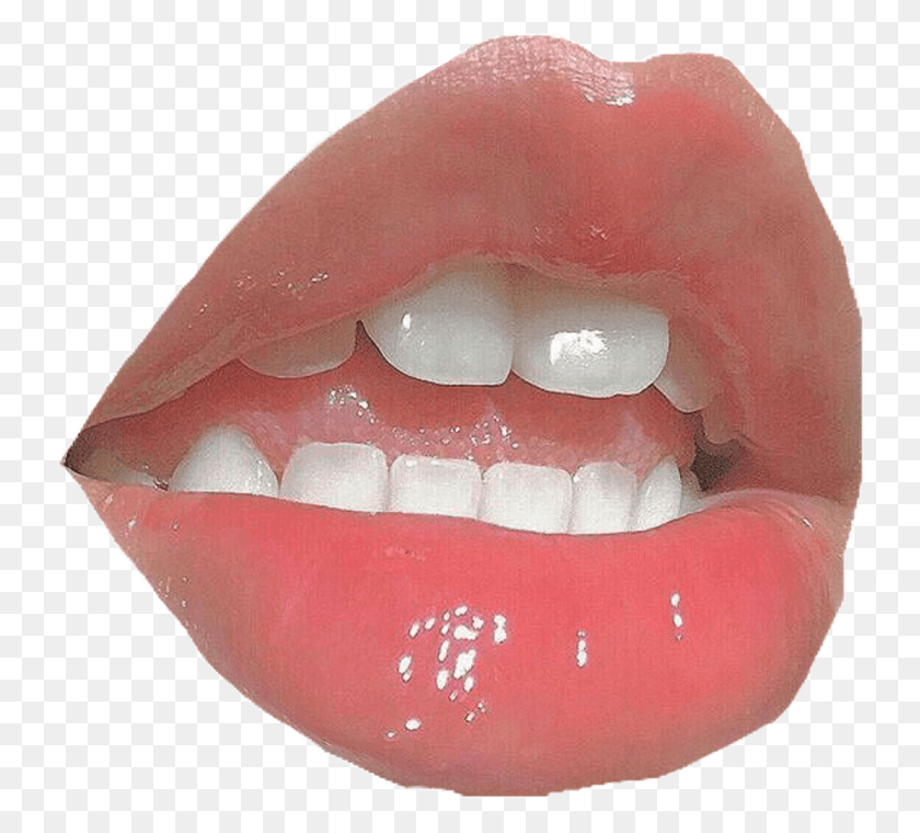 740x700 Niche Nichememes Aesthetic Aesthetictumblr Clothes, Teeth, Mouth, Lip HD PNG Download