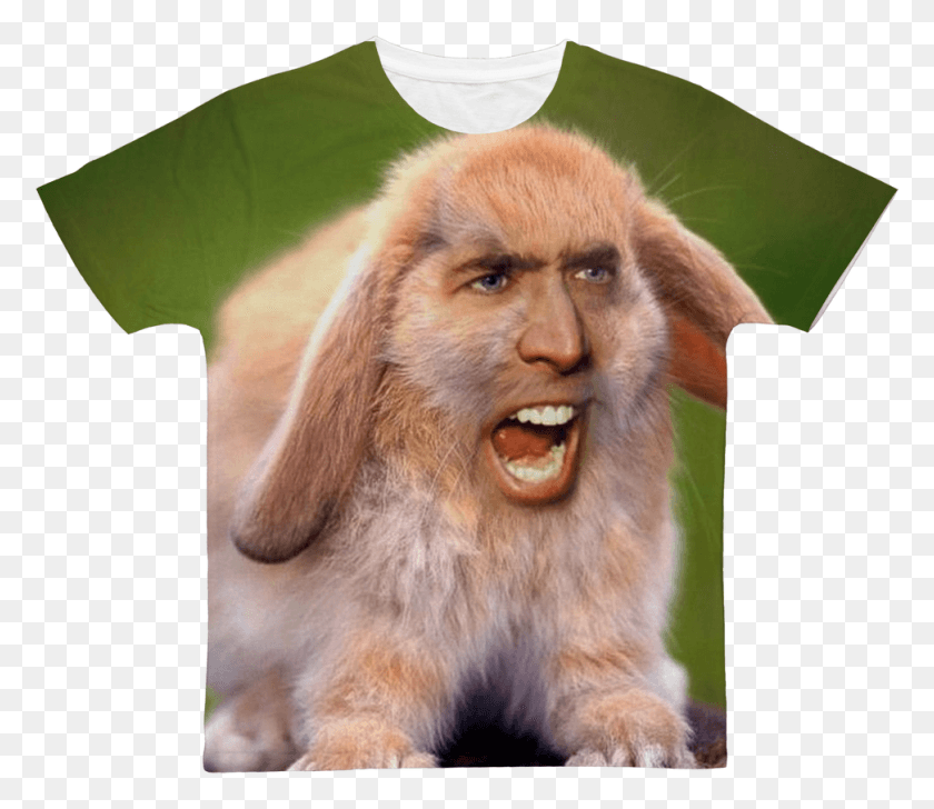 972x833 Nicolas Cage39s Face On A Rabbit Classic Sublimation Nicolas Cage As A Dog, Mammal, Animal, Golden Retriever HD PNG Download