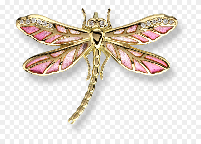 727x541 Nicole Barr Designs 18 Karat Gold Small Dragonfly Necklace, Accessories, Accessory, Jewelry HD PNG Download