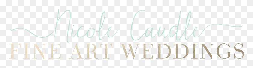 3773x810 Nicole Caudle Fine Art Film Photographer Beyonce 1, Text, Handwriting, Calligraphy HD PNG Download