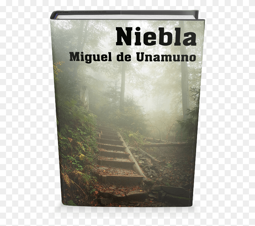513x684 Niebla Es Una Novela O Nivola Como El Mismo Autor Poster, Nature, Outdoors, Weather HD PNG Download
