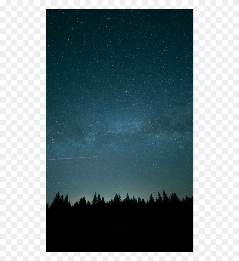 521x856 Night Trees Stars Woods Shortleaf Black Spruce, Nature, Outdoors, Outer Space HD PNG Download