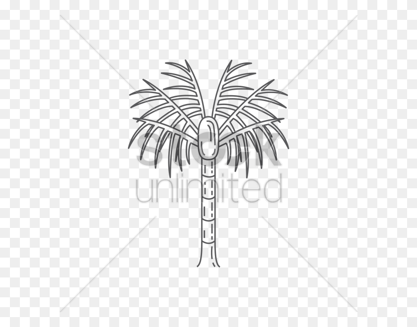 600x600 Nikau Palm Tree Vector Image Desert Palm, Weapon, Weaponry, Symbol HD PNG Download