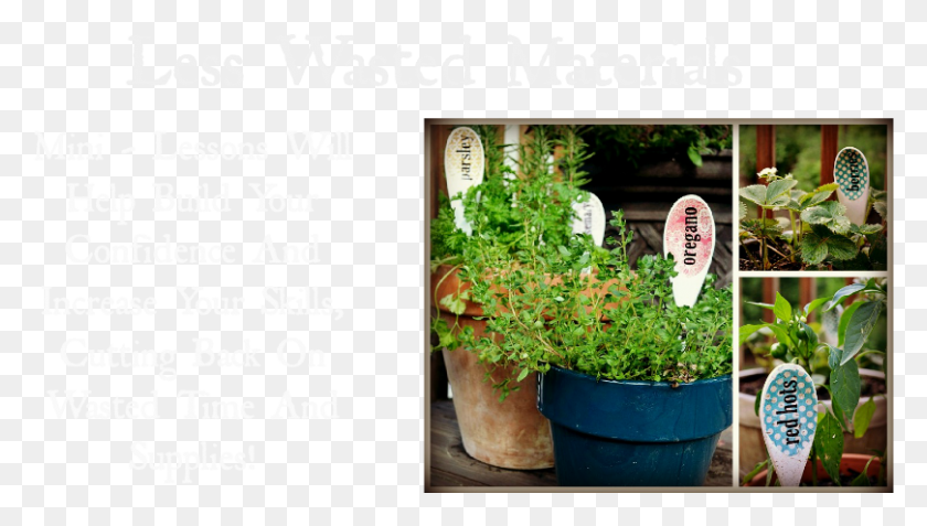 809x433 Nikki In Stitches Craft Academy Plantation, Plant, Potted Plant, Vase HD PNG Download