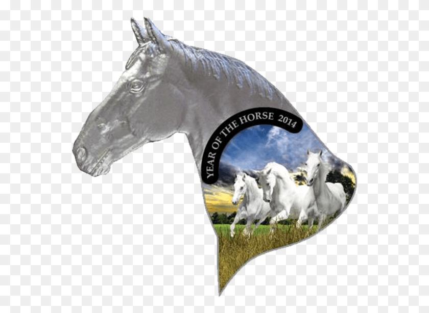 561x554 Niue 2014 1 Irregular Horse Head Year Of The Horse Stallion, Mammal, Animal, Goat HD PNG Download