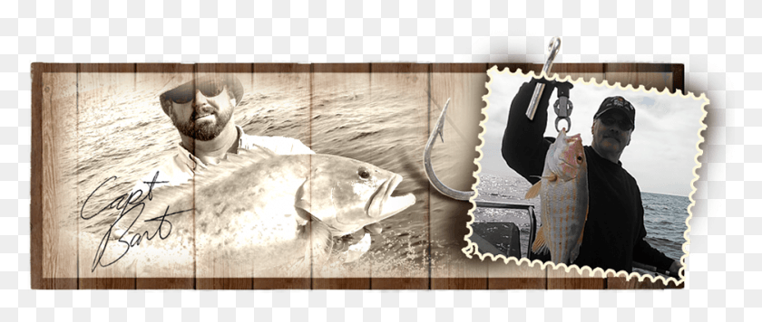 935x355 Nivo Slider Image Jigging, Кижуч, Рыба, Животное Hd Png Скачать