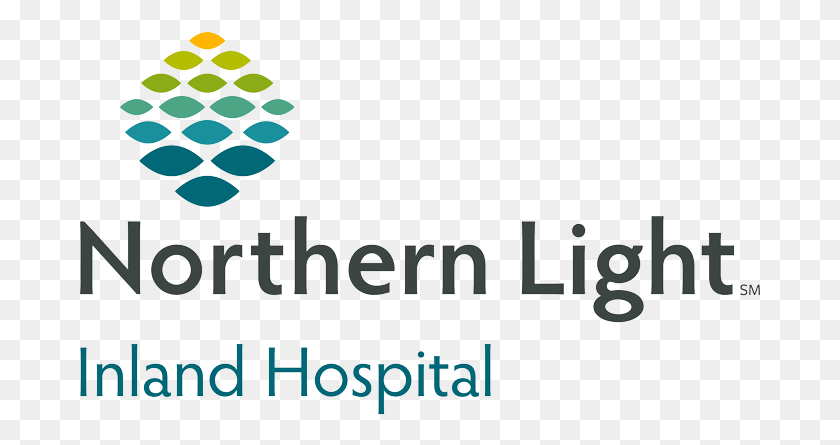 683x385 Nl Ih V P Clr Rgb 180406 Northern Light Mercy Hospital, Text, Graphics HD PNG Download