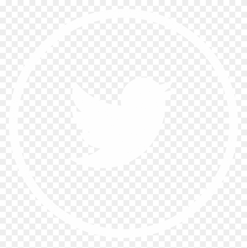 1022x1027 Nl Twitter Twitter Icon Gray Circle, Symbol, Logo, Trademark HD PNG Download
