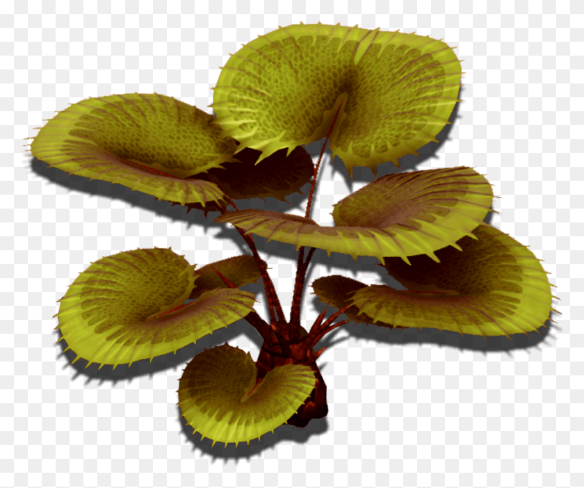 929x765 Descargar Png / Nms Special Medplant Iris, Planta, Flor, Flor Hd Png