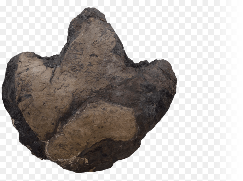No Alt Exists For This Image Museum, Rock, Mineral, Accessories PNG