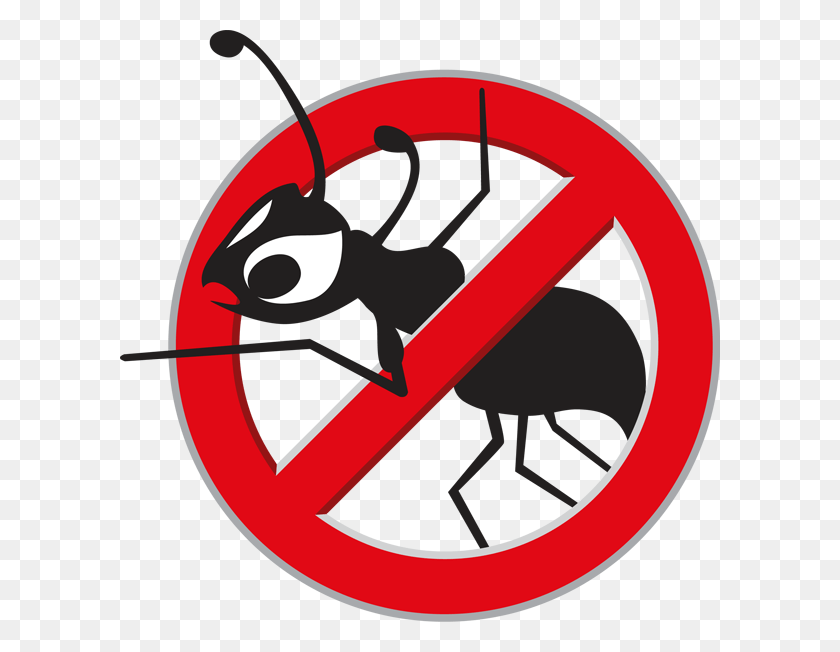 600x592 No Ants Traffic Sign, Label, Text, Graphics HD PNG Download