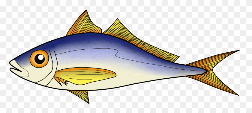 2807x1147 Рыба, Животное, Морская Жизнь Png Скачать