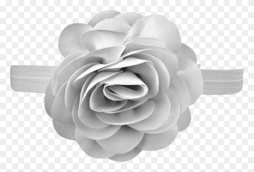 1601x1046 No Slippy Hair Clippy Eloisa Headband Babylist Japanese Camellia, Rose, Flower, Plant HD PNG Download