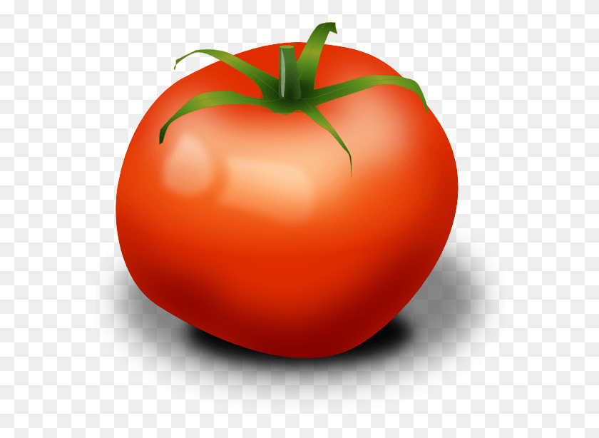 576x554 Tomate Png / Tomate Png