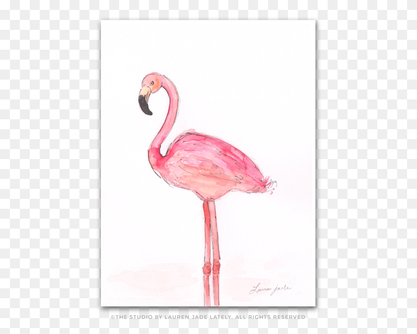 460x612 No Two Inspirati Notwo Greater Flamingo, Bird, Animal, Beak HD PNG Download