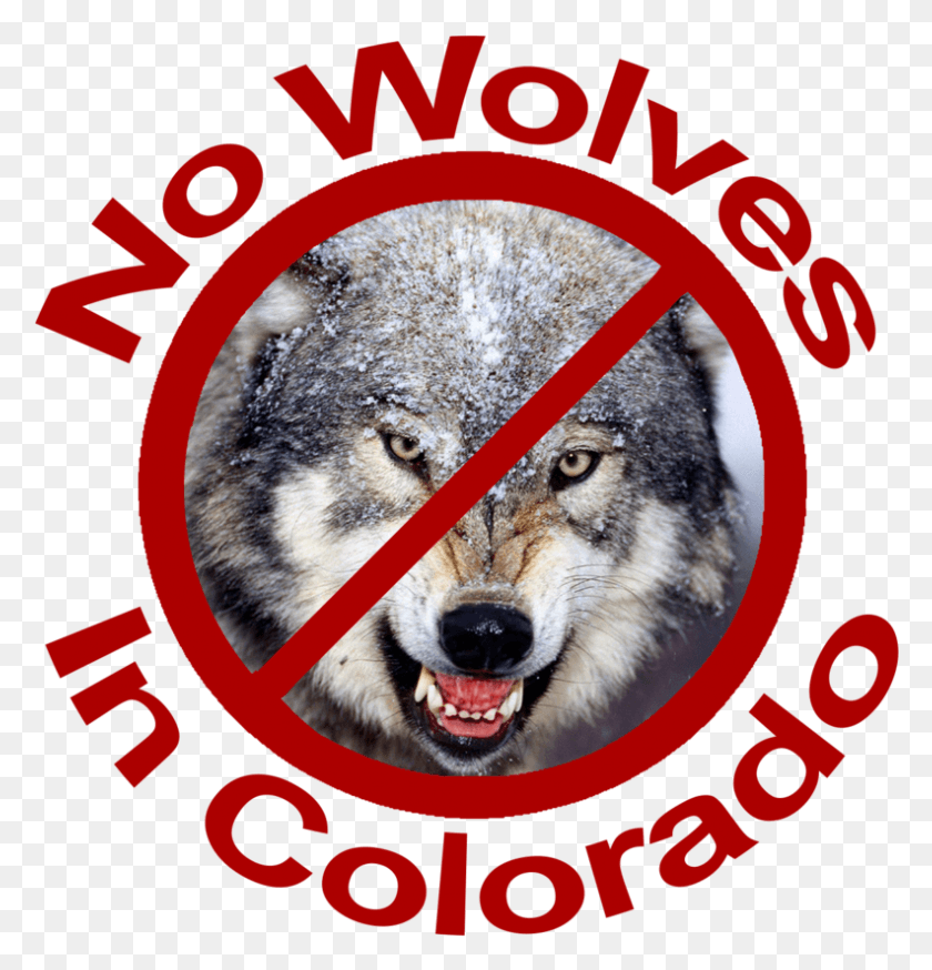 792x827 No Wolves In Colorado Red Lettering Dog Yawns, Wolf, Mammal, Animal HD PNG Download