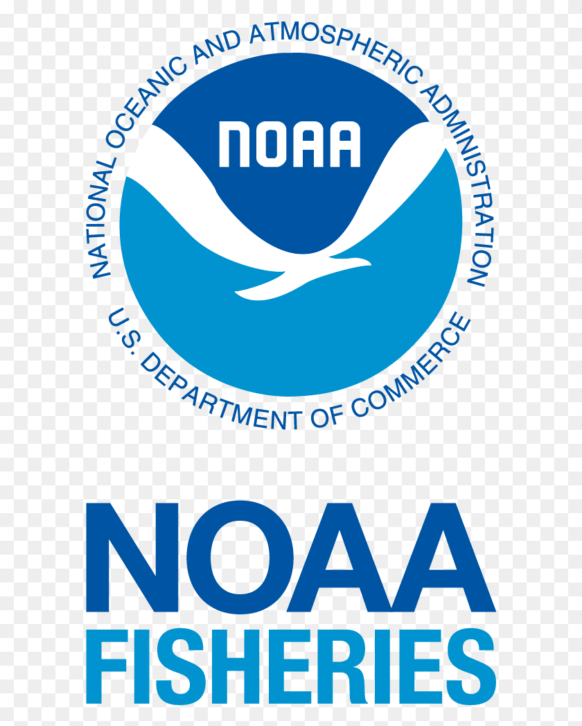 593x987 Descargar Png / Noaa Fisheries Logo Vertical Noaa Fisheries Logo, Poster, Publicidad, Texto Hd Png
