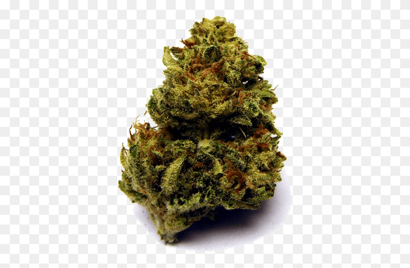 362x489 Nobg3 Gas Mask Og Strain, Plant, Weed, Pineapple HD PNG Download