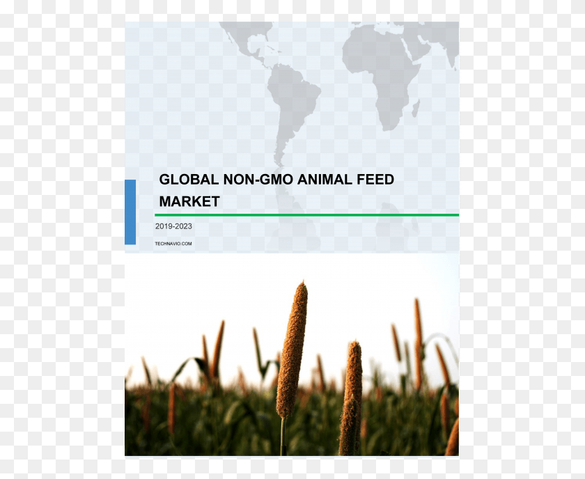 484x628 Non Gmo Animal Feed Market Share Amp Size Industry Analysis Poster, Grass, Plant, Outdoors HD PNG Download
